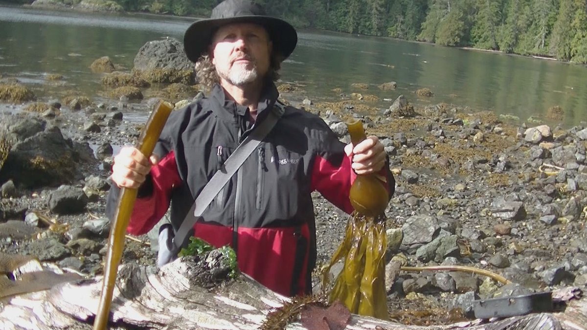 Where to Watch How to Die Alone Season 2 Is Not Happening